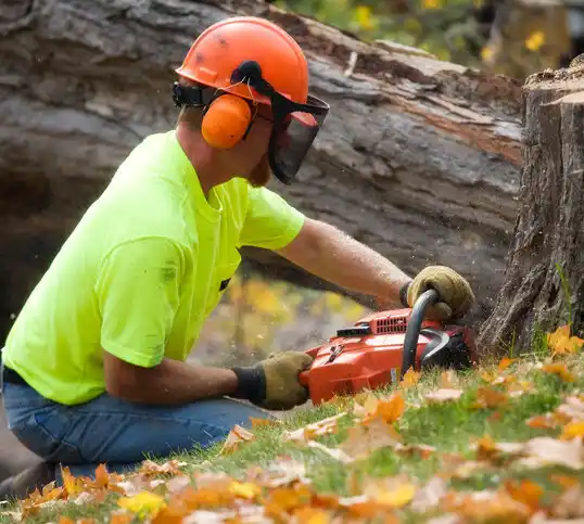 tree services Spencer